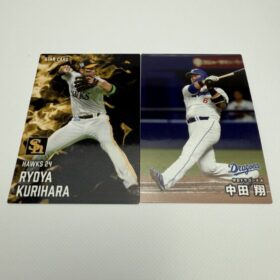 Calbee 2025 Professional Baseball Chips with Card